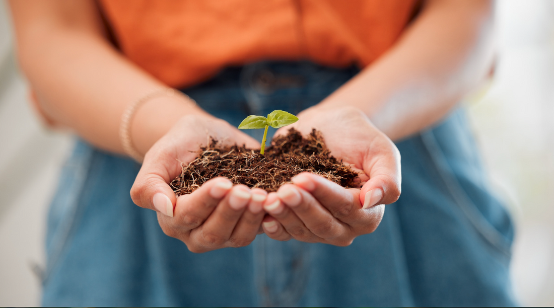 What Happens to Period Product Waste After You Throw It Away