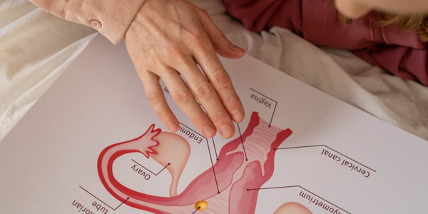 Everything You Need to Know About Your Cervix