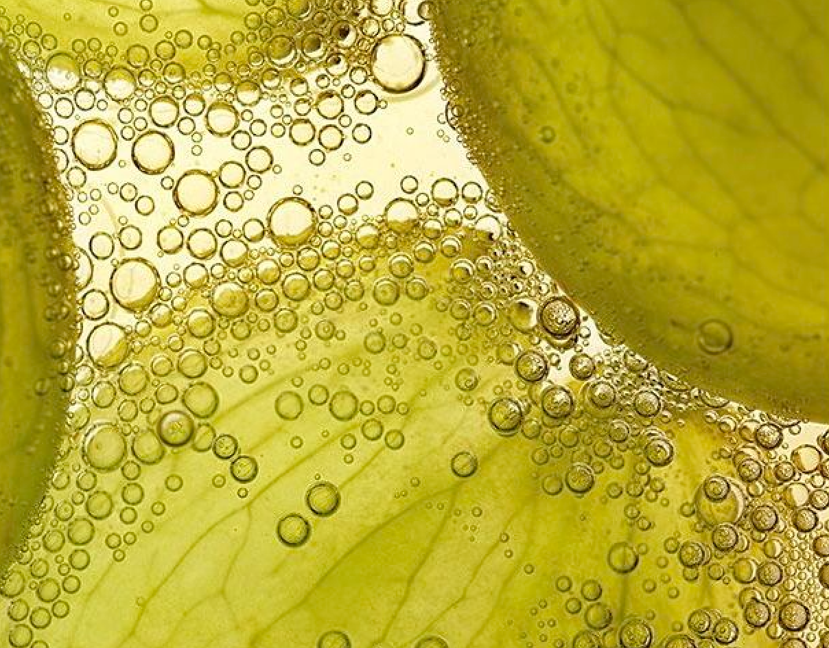 5 essential oils that ease period pain!