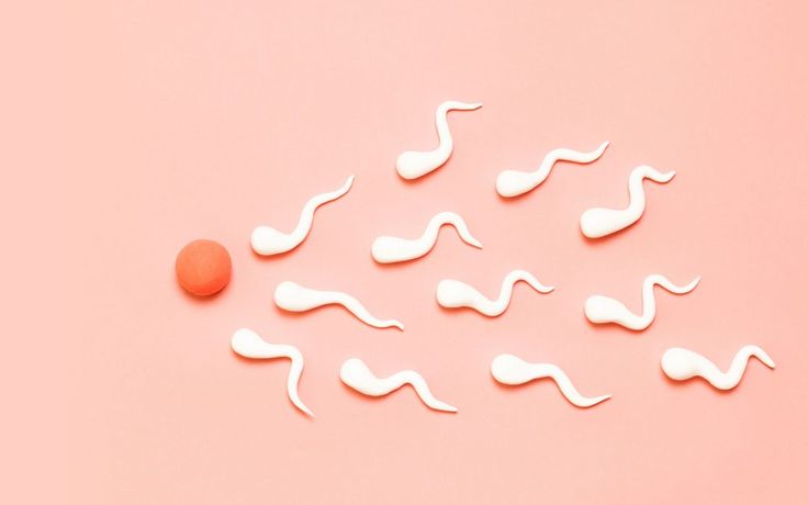 Everything you need to know about the fertility awareness method!