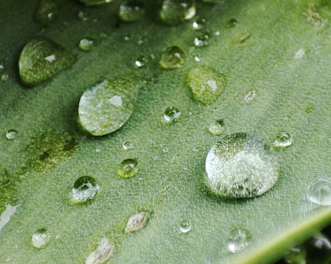 Top 5 natural ways to deal with period cramps!