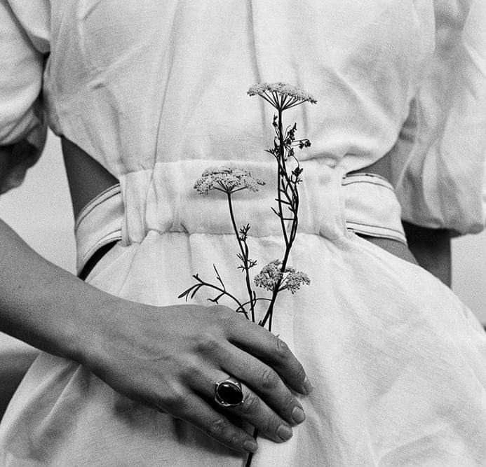 Everything you need to know about vaginal pH balance