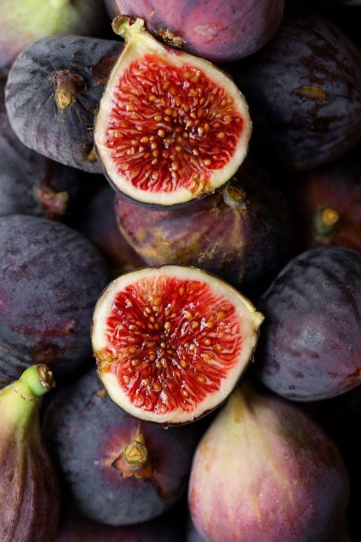 Let’s clear up the debate once and for all: vulva vs. vagina. What’s the difference?