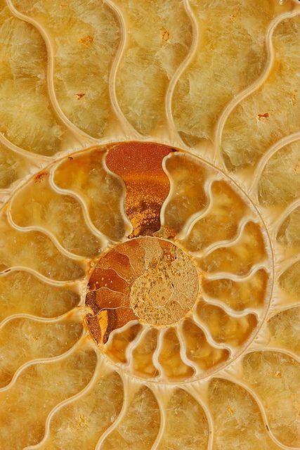 What does it mean to be cyclical?