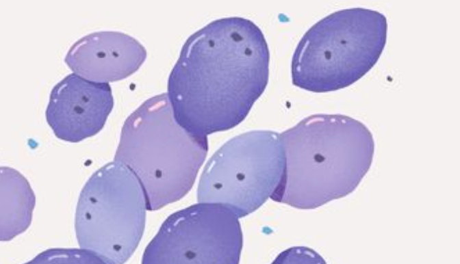 Everything you need to know about bacterial vaginosis!