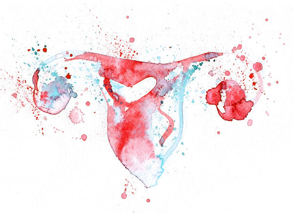 Can I Get Pregnant When I’m Ovulating?