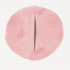 Lunette Yoni Wipes 50-pack 50% off